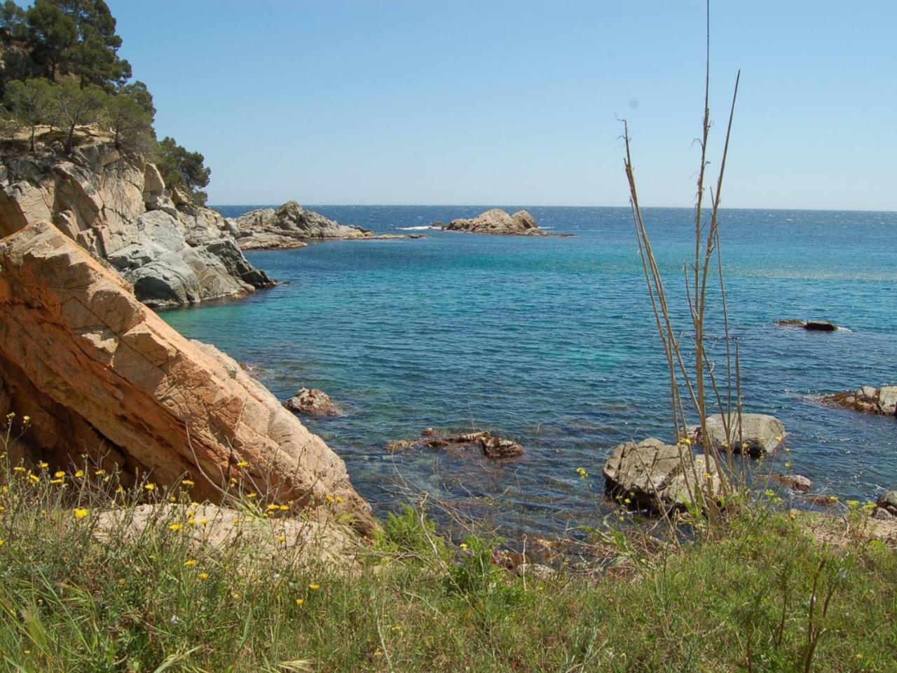 Studios Face A La Mer - Cala Llevado Τόσα ντε Μαρ Εξωτερικό φωτογραφία